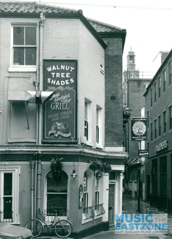 WALNUT TREE SHADES PUBLIC HOUSE, THE